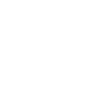 Our company logo